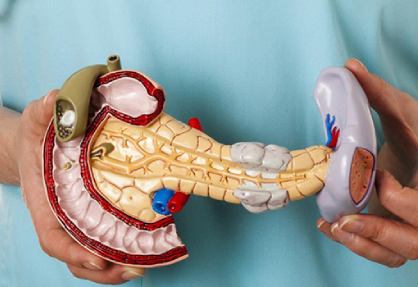 Pancreatic Surgery (Whipple Procedure) in India